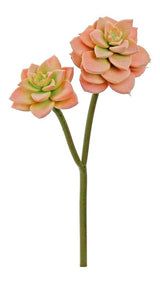 Coral Mini Succulent Spray