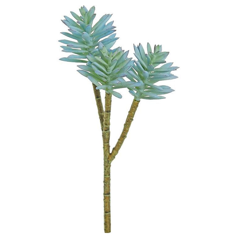 Spiny Succulent Spray - Blue/Sage