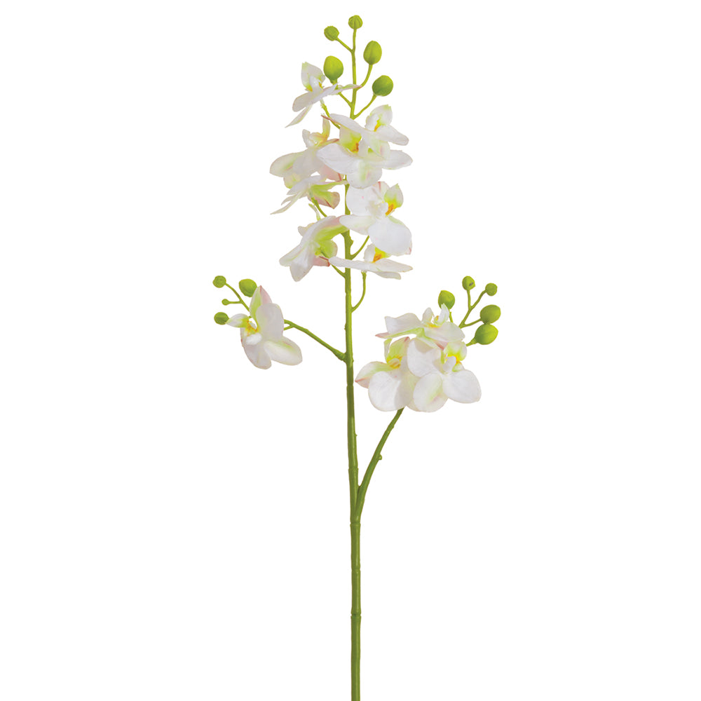 Mini Orchid Spray