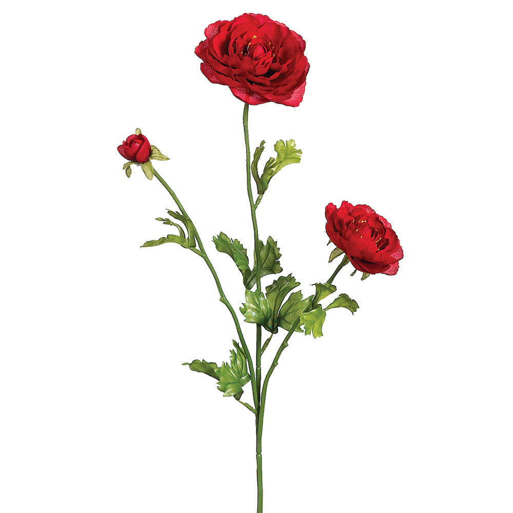 Red Ranunculus Spray