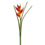 Flame Lobster Claw Heliconia Spray