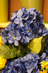 Blue Hydrangea Bush