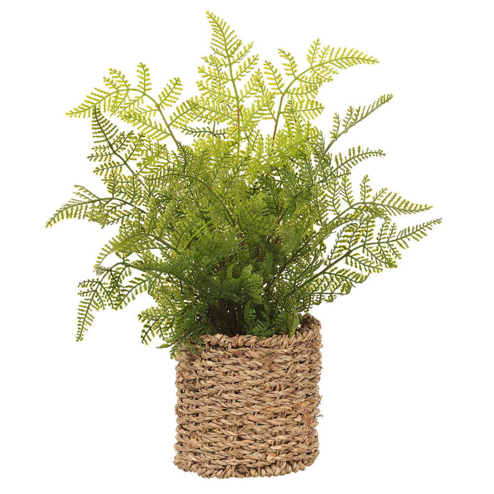 Leather Fern In Basket