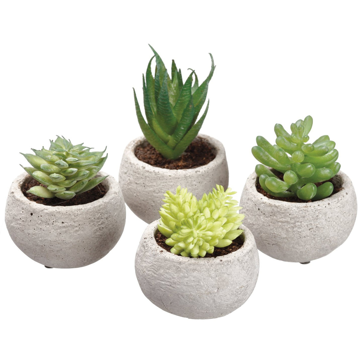 Mini Succulent In Cement Pot