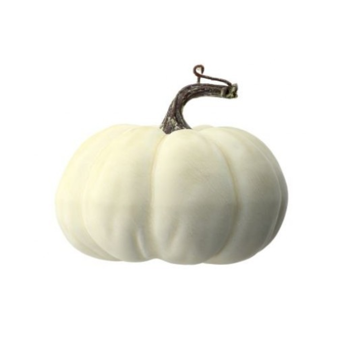 Weathered Pumpkin - Cream