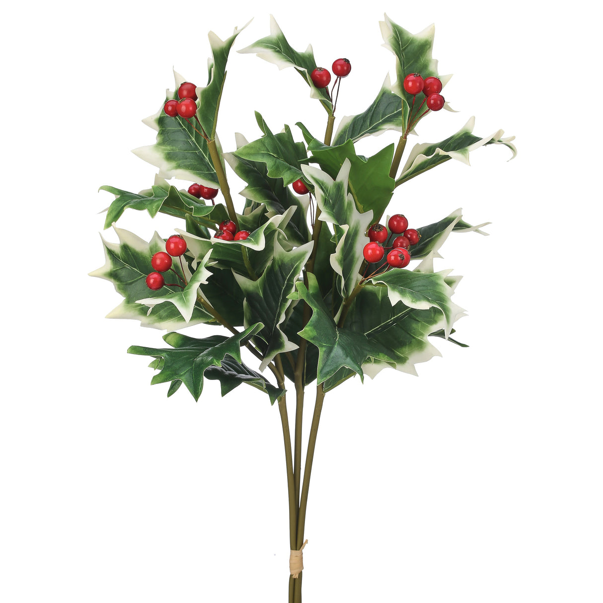 Natural Touch Varigated Holly Bundle