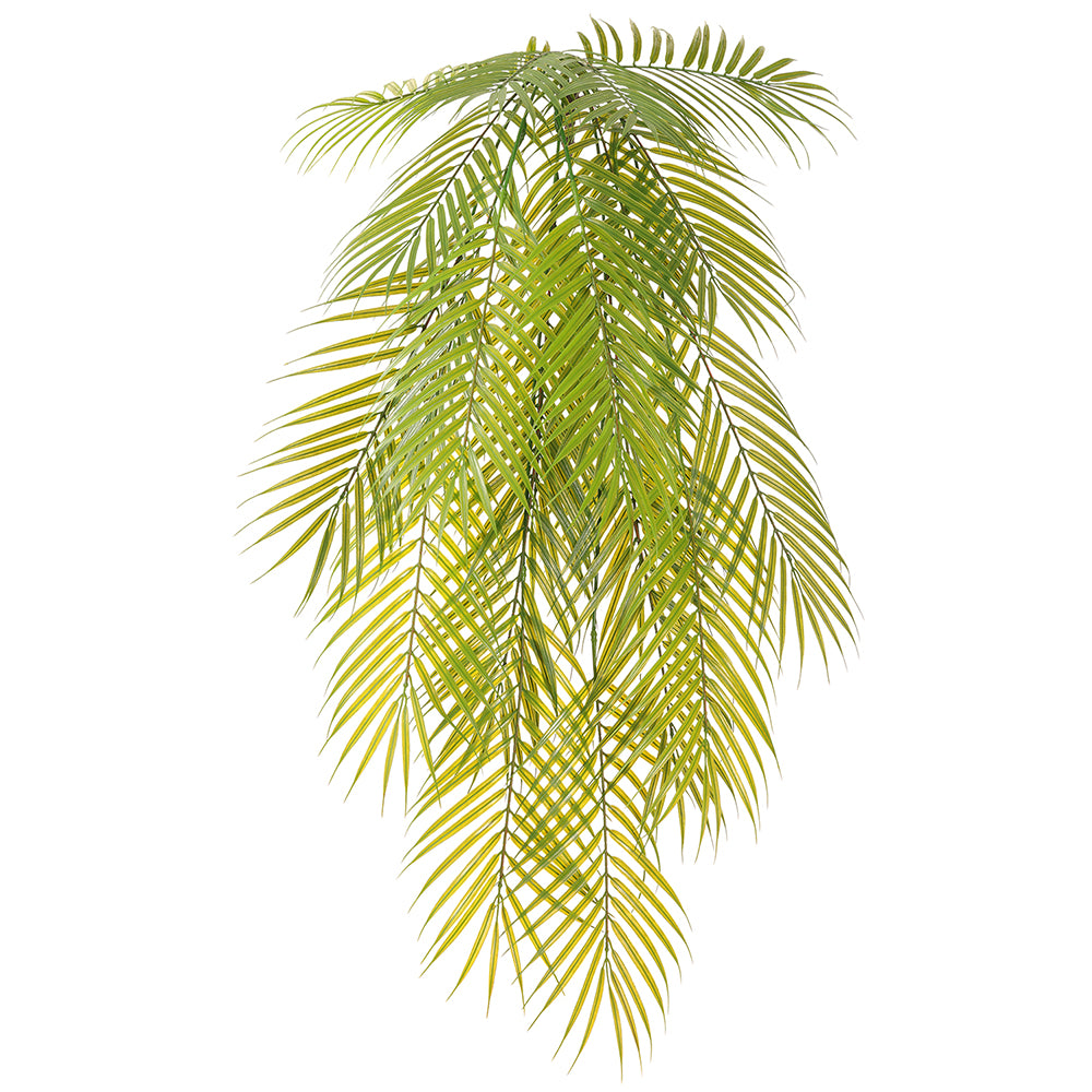 Palm Hanging Bush