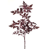 Cimicifuga Ramosa Leaf Spray