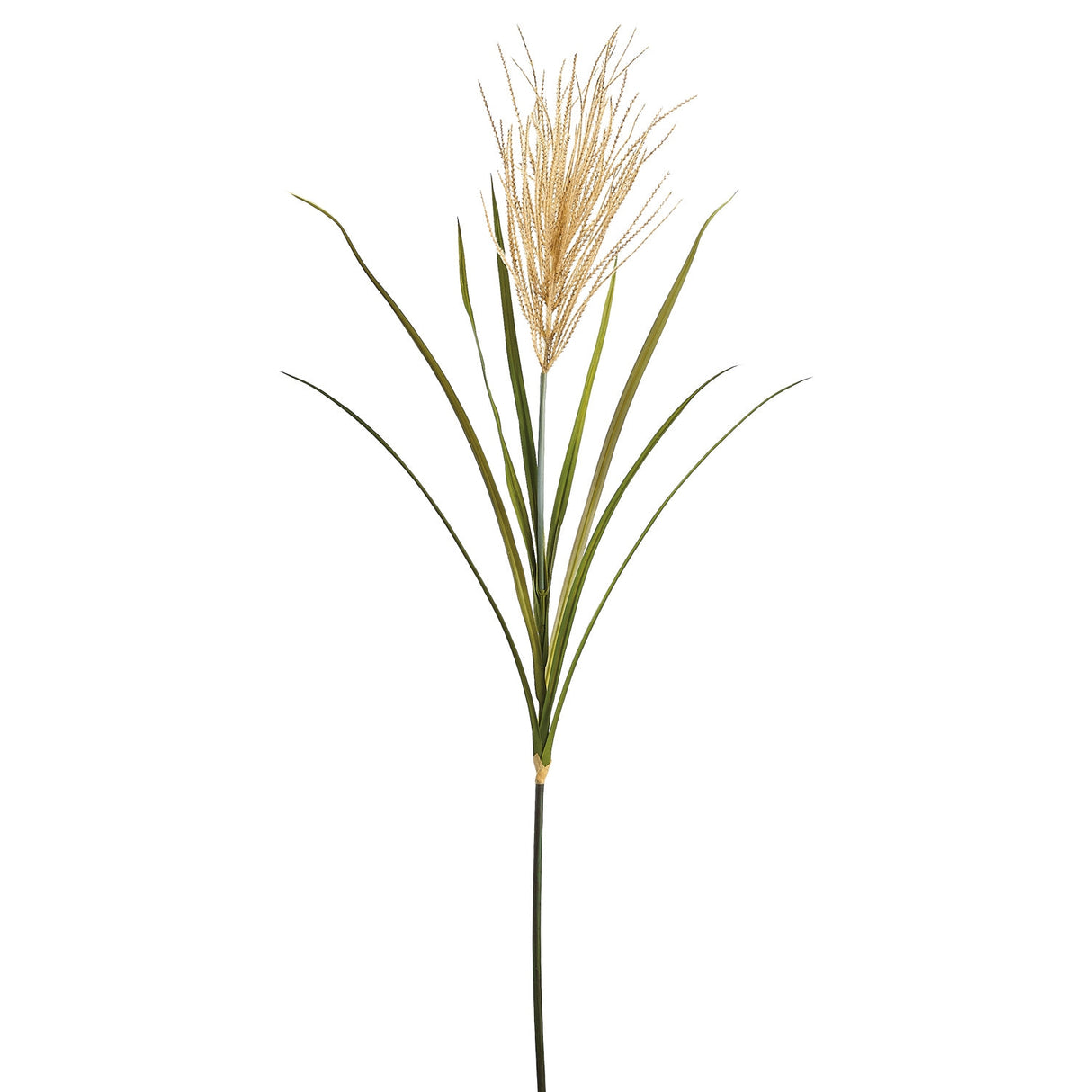 Tan Pampas Grass Spray