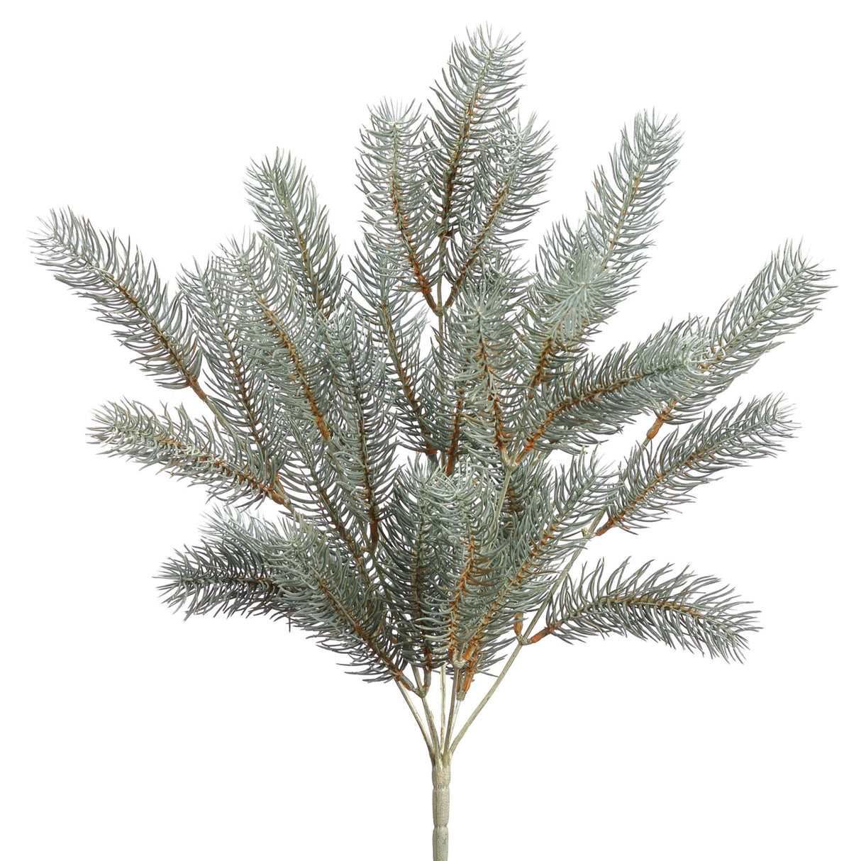 Frosted Round Tip Pine Bush