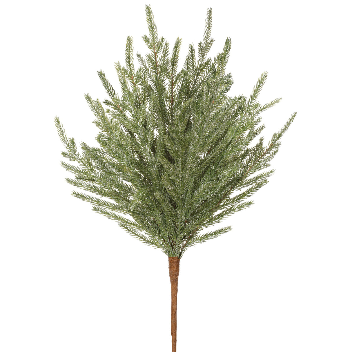 Round Cypress Spray