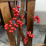 5' Petite Berry Garland