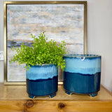 Reactive Blue Footed Planter- 2 Sizes