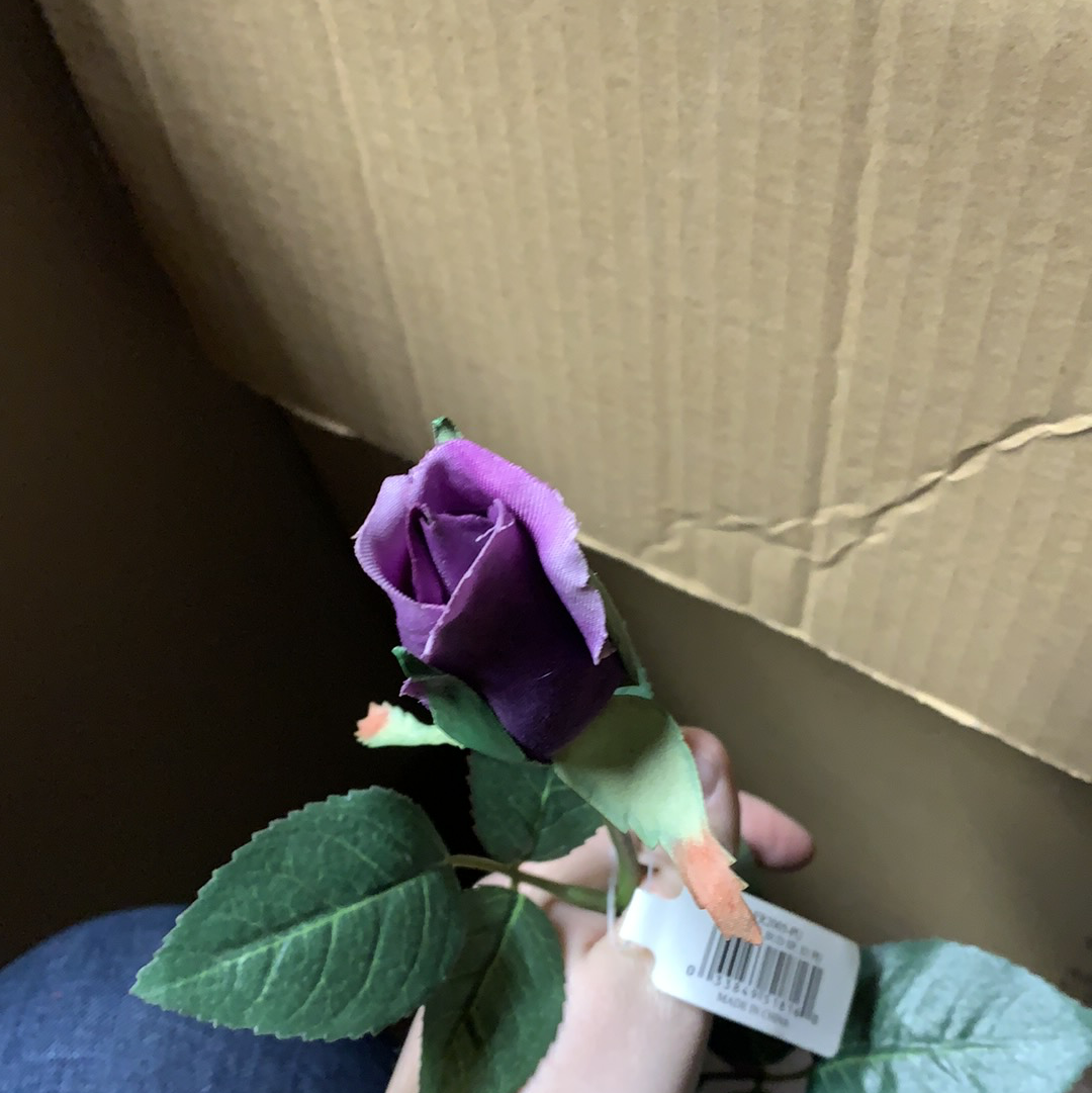 Purple Rose Bud Stem