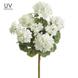 Small UV Protected White Geranium Bush
