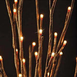 Lighted Willow Branch